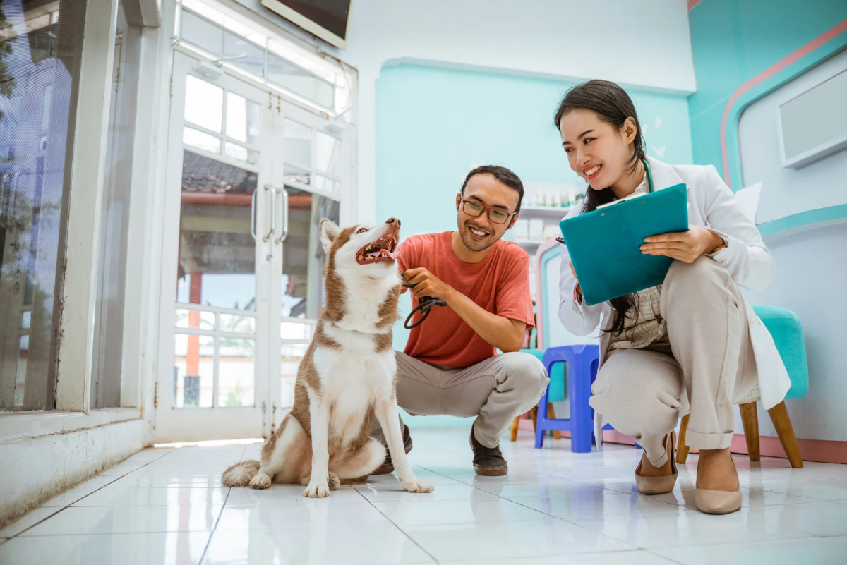 Como reduzir custos e otimizar resultados em clínicas veterinárias com soluções POCT